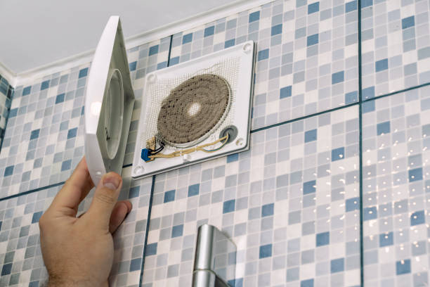 Best Affordable Air Duct Cleaning  in La Homa, TX