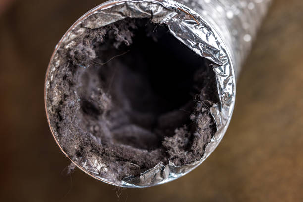 Best Duct Cleaning for Offices  in La Homa, TX