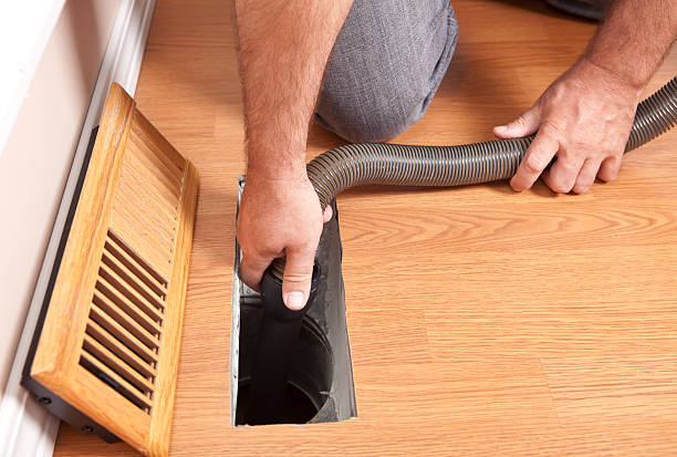 Best Dryer Vent Cleaning Services  in La Homa, TX