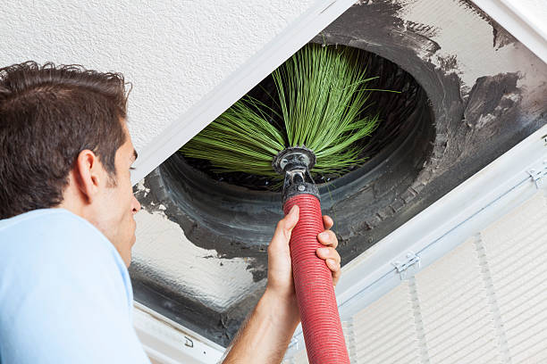 Best Air Vent Cleaning Services  in La Homa, TX